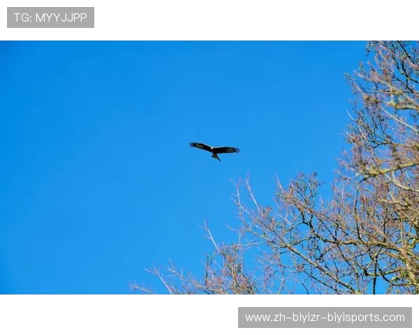 飞鹰翱翔赤狼隐匿：亚平宁绿茵传奇生物谱系探索
